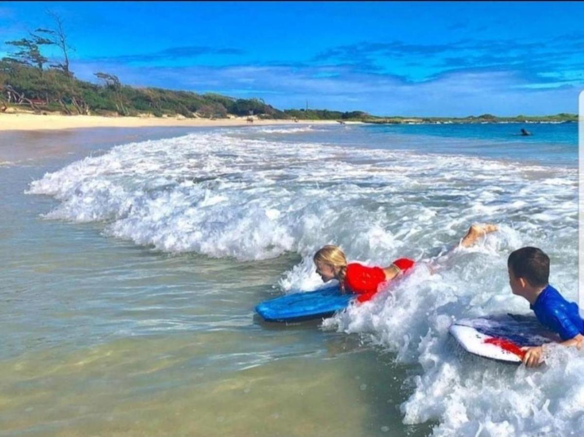 Private Condos In Waikiki, Private Car Rental Included, Beach Gear And Camping Gear Honolulu Exterior foto